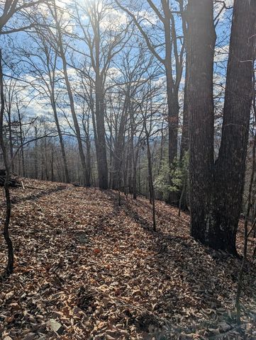 902 Mountain Top Drive, Murphy, NC 28906