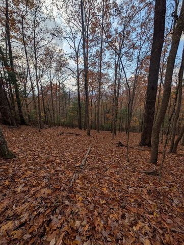 902 Mountain Top Drive, Murphy, NC 28906