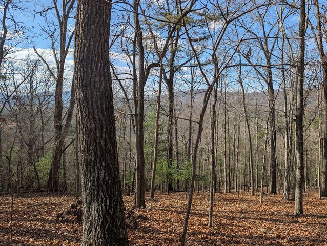 902 Mountain Top Drive, Murphy, NC 28906