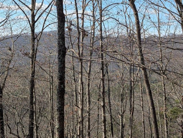 902 Mountain Top Drive, Murphy, NC 28906