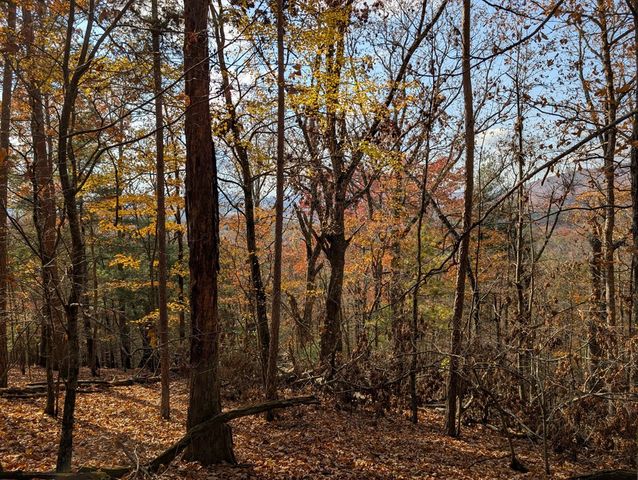 902 Mountain Top Drive, Murphy, NC 28906