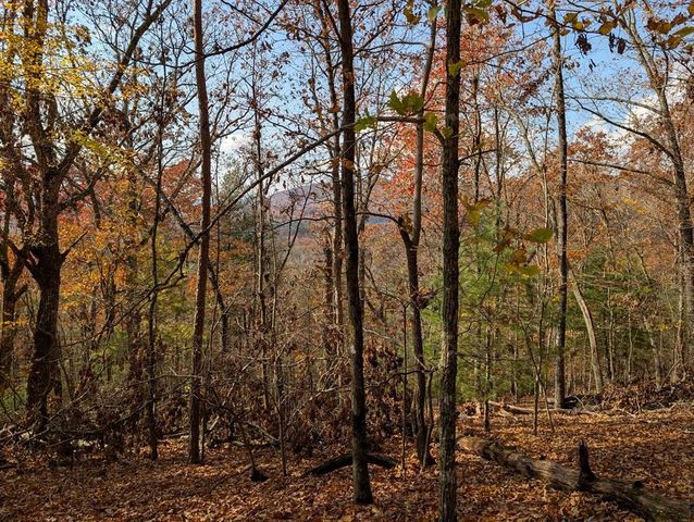 902 Mountain Top Drive, Murphy, NC 28906