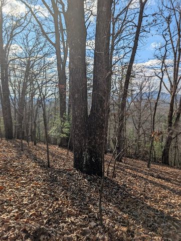 902 Mountain Top Drive, Murphy, NC 28906