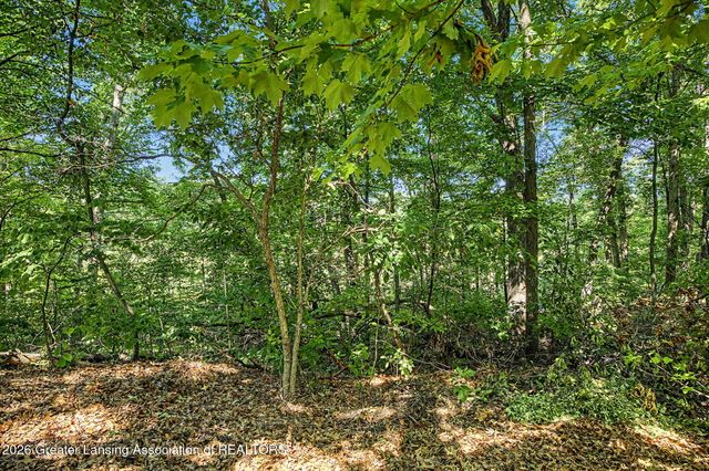 2047 Arbor Meadows Drive, Dewitt, MI 48820