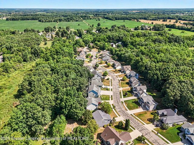 2047 Arbor Meadows Drive, Dewitt, MI 48820