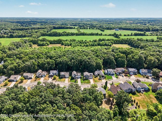 2047 Arbor Meadows Drive, Dewitt, MI 48820