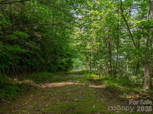 0 Hebron Road, Hendersonville, NC 28792