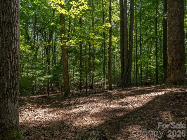 0 Hebron Road, Hendersonville, NC 28792