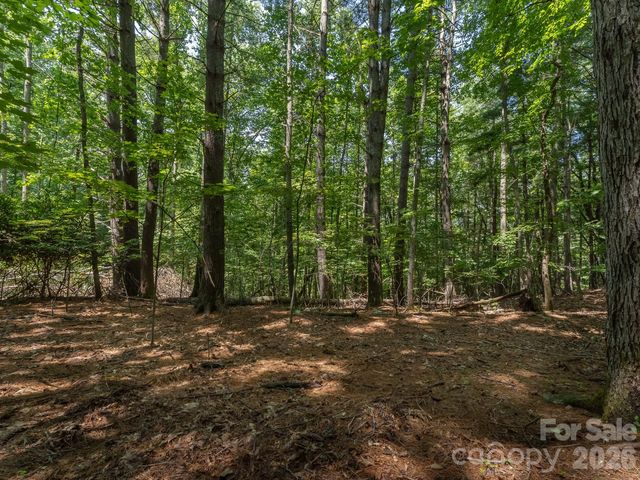 0 Hebron Road, Hendersonville, NC 28792