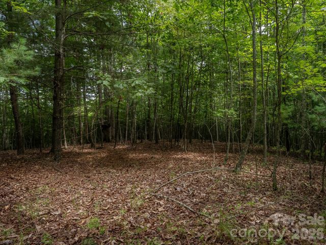 0 Hebron Road, Hendersonville, NC 28792