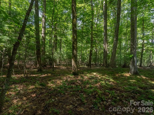 0 Hebron Road, Hendersonville, NC 28792