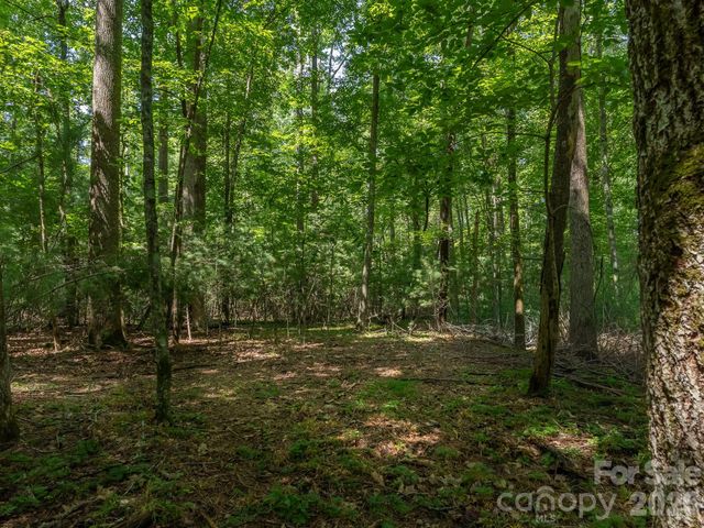 0 Hebron Road, Hendersonville, NC 28792