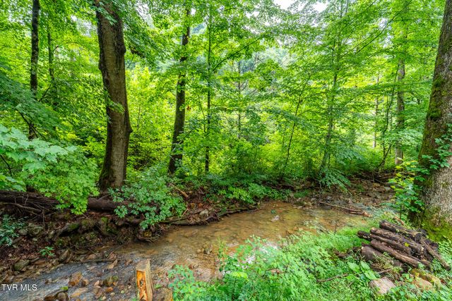 6539 Big Dry Run Road, Butler, TN 37640