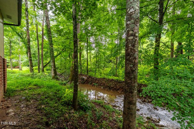 6539 Big Dry Run Road, Butler, TN 37640