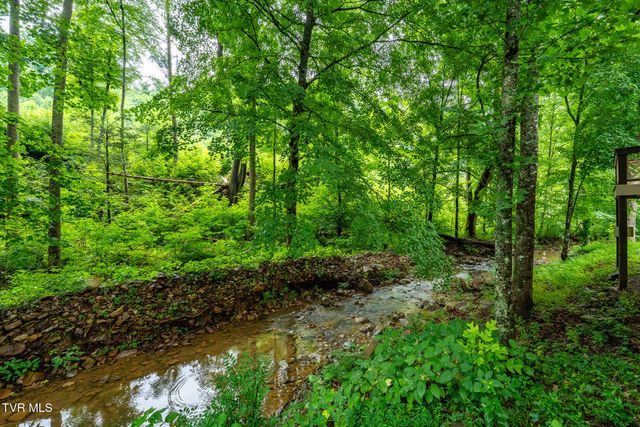 6539 Big Dry Run Road, Butler, TN 37640