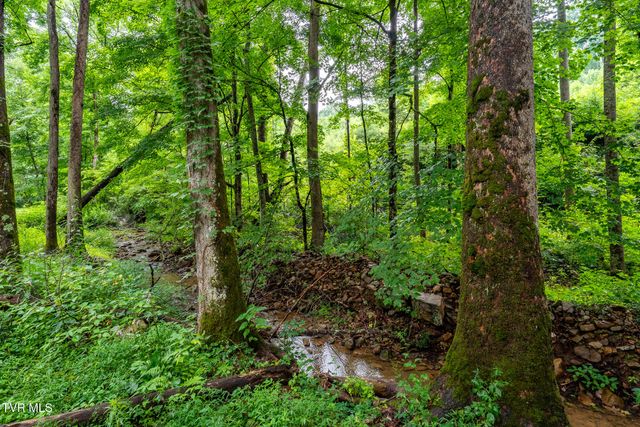 6539 Big Dry Run Road, Butler, TN 37640