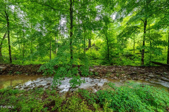 6539 Big Dry Run Road, Butler, TN 37640