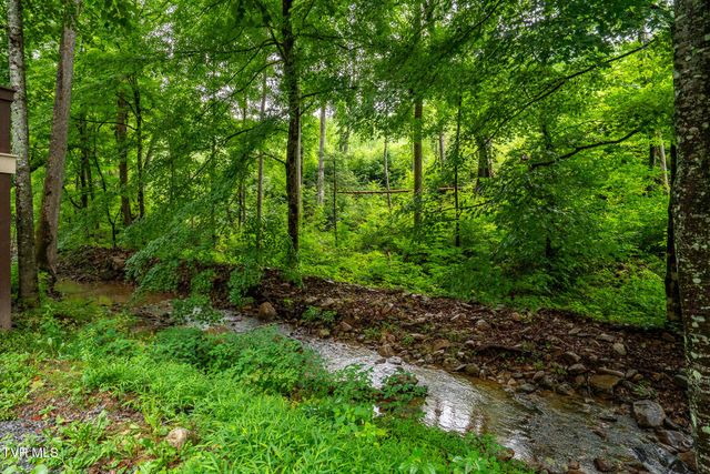 6539 Big Dry Run Road, Butler, TN 37640