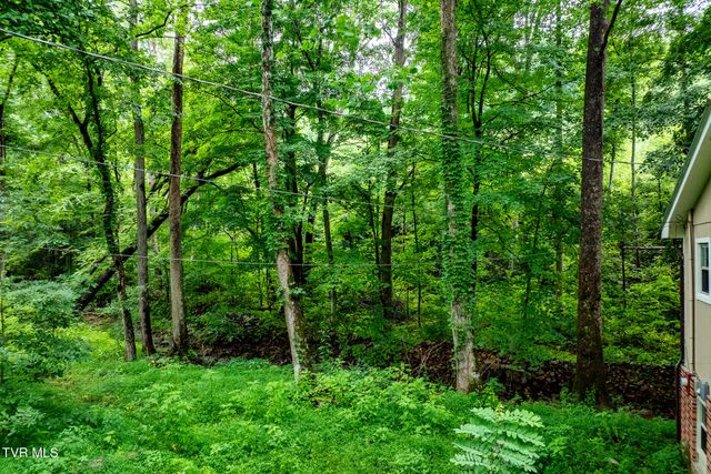6539 Big Dry Run Road, Butler, TN 37640