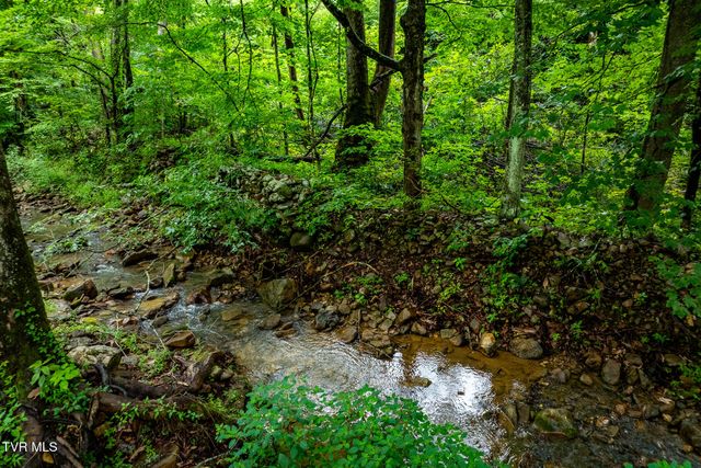 6539 Big Dry Run Road, Butler, TN 37640