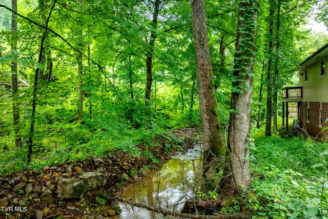 6539 Big Dry Run Road, Butler, TN 37640