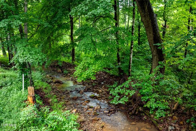 6539 Big Dry Run Road, Butler, TN 37640