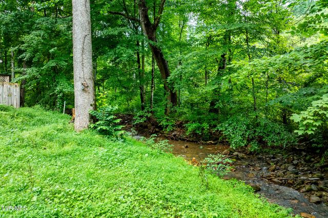 6539 Big Dry Run Road, Butler, TN 37640