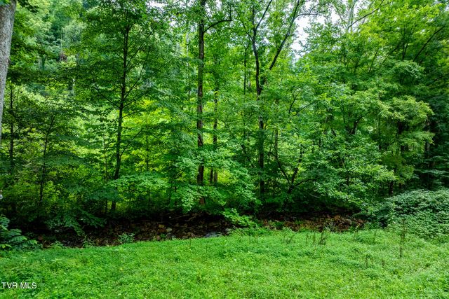 6539 Big Dry Run Road, Butler, TN 37640