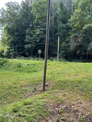 6539 Big Dry Run Road, Butler, TN 37640