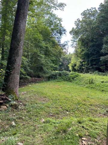 6539 Big Dry Run Road, Butler, TN 37640