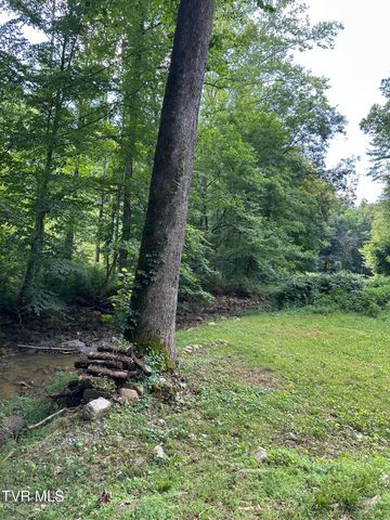 6539 Big Dry Run Road, Butler, TN 37640