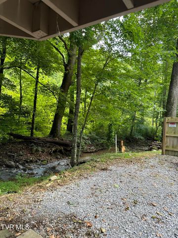 6539 Big Dry Run Road, Butler, TN 37640