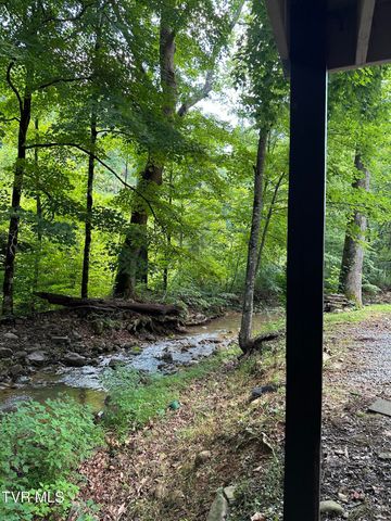 6539 Big Dry Run Road, Butler, TN 37640
