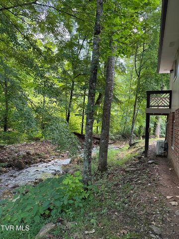 6539 Big Dry Run Road, Butler, TN 37640