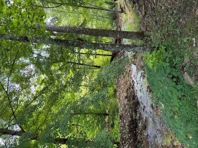 6539 Big Dry Run Road, Butler, TN 37640