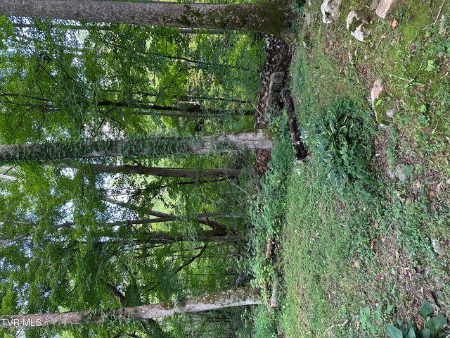 6539 Big Dry Run Road, Butler, TN 37640