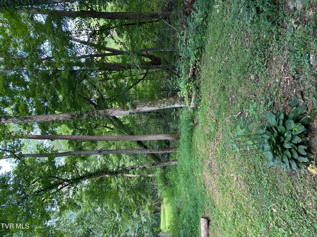 6539 Big Dry Run Road, Butler, TN 37640