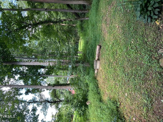 6539 Big Dry Run Road, Butler, TN 37640