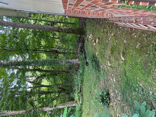 6539 Big Dry Run Road, Butler, TN 37640