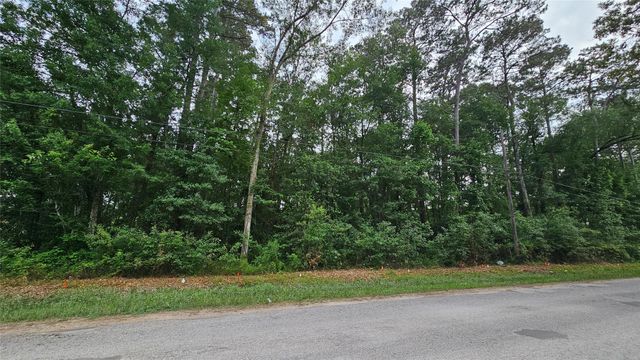 26750 & 26698 Peach Creek Drive, New Caney, TX 77357