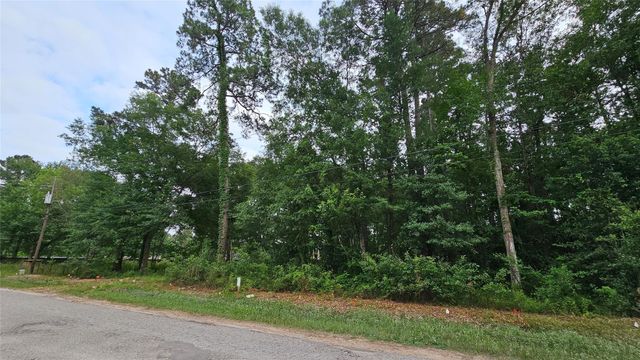 26750 & 26698 Peach Creek Drive, New Caney, TX 77357