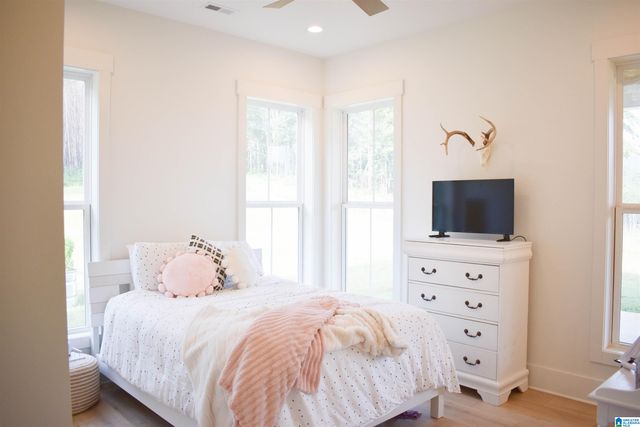 30 PINEWELL DRIVE, Cropwell, AL 35054