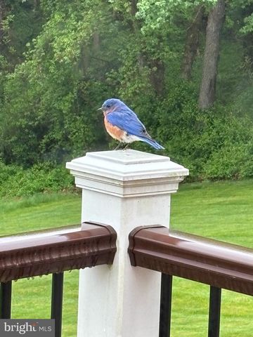 3239 DRY BRANCH RD, White Hall, MD 21161