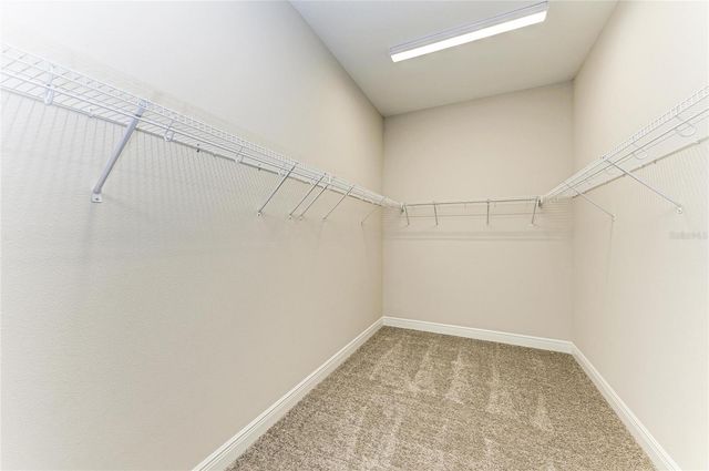 10073 MEADOWRUN DRIVE, Lithia, FL 33547