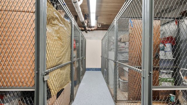 121 S Spruce Avenue 207, Wood Dale, IL 60191