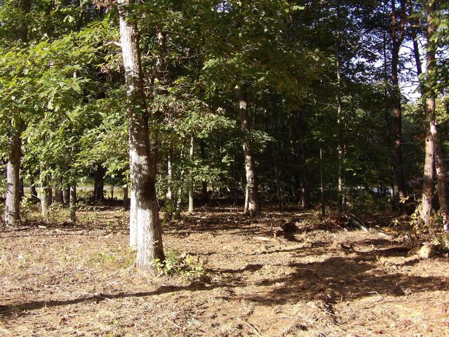 68 Timber Vw View, Pikeville, TN 37367