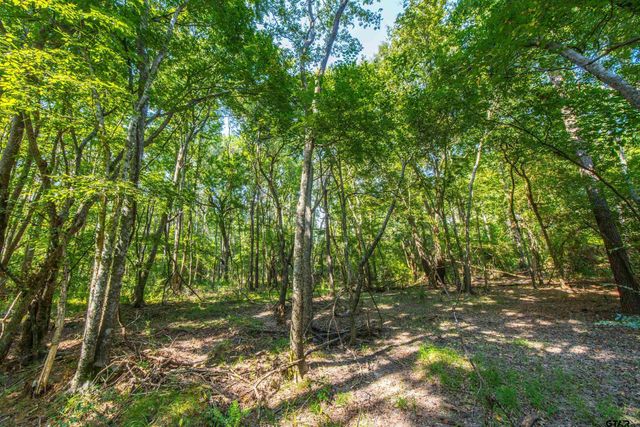 Tract 8 CR 4221, Frankston, TX 75763