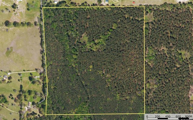 Tract 8 CR 4221, Frankston, TX 75763