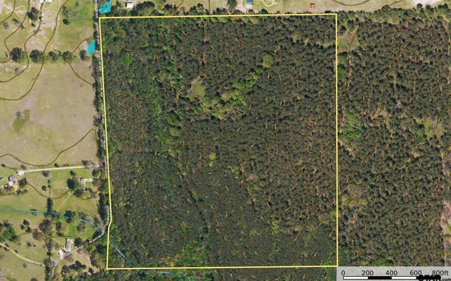 Tract 8 CR 4221, Frankston, TX 75763