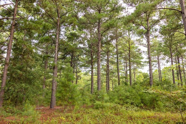 Tract 8 CR 4221, Frankston, TX 75763